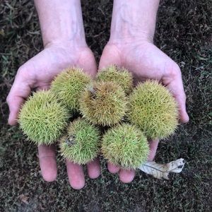 Meet your Posher, Ethan